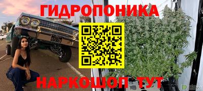 ПСИЛОЦИБИНОВЫЕ ГРИБЫ Кимры
