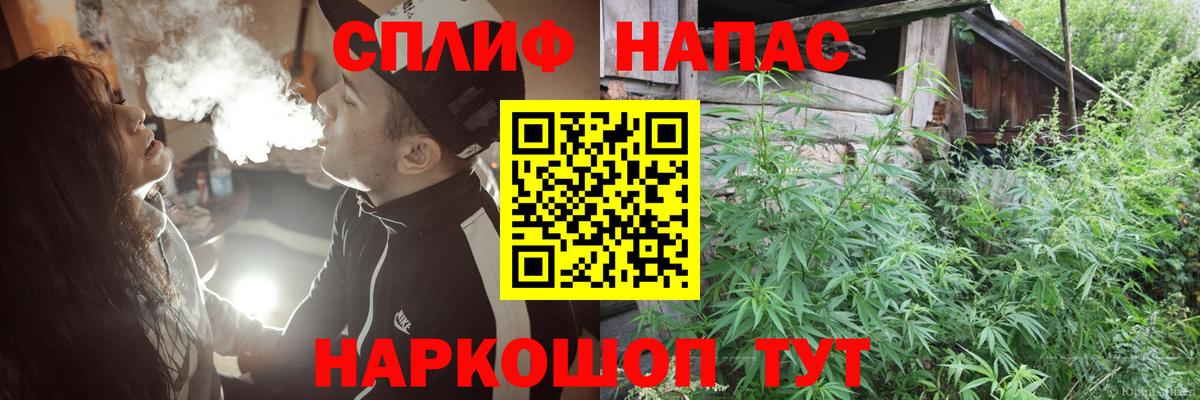 Конопля сатива Куйбышев